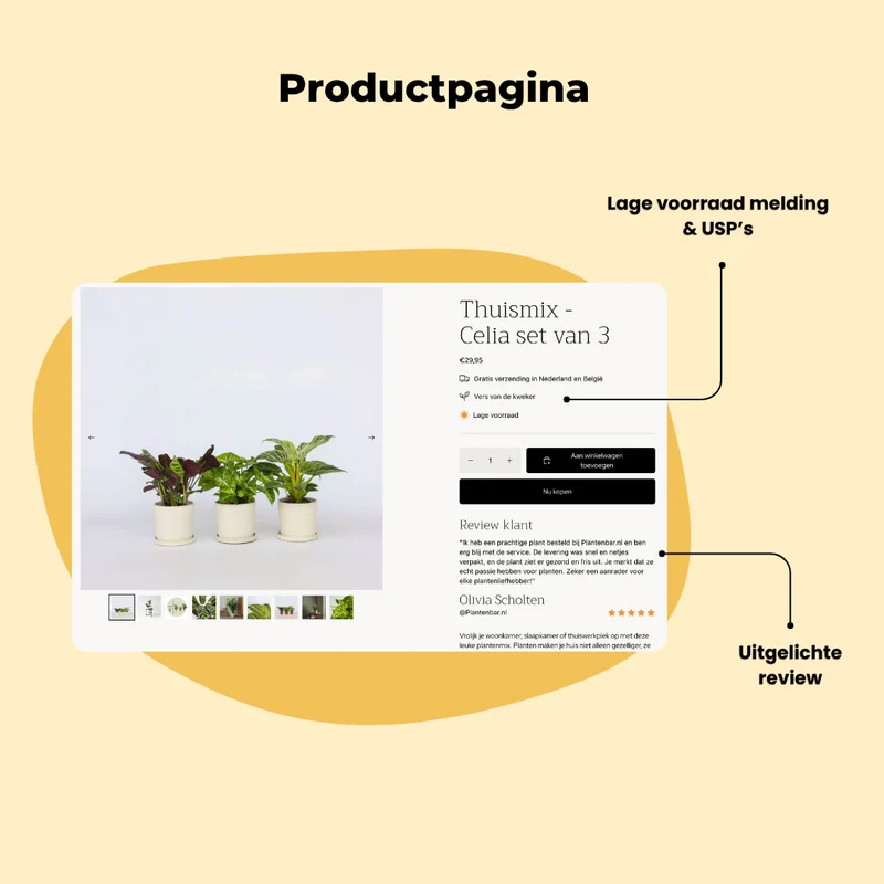 cityofplants.com