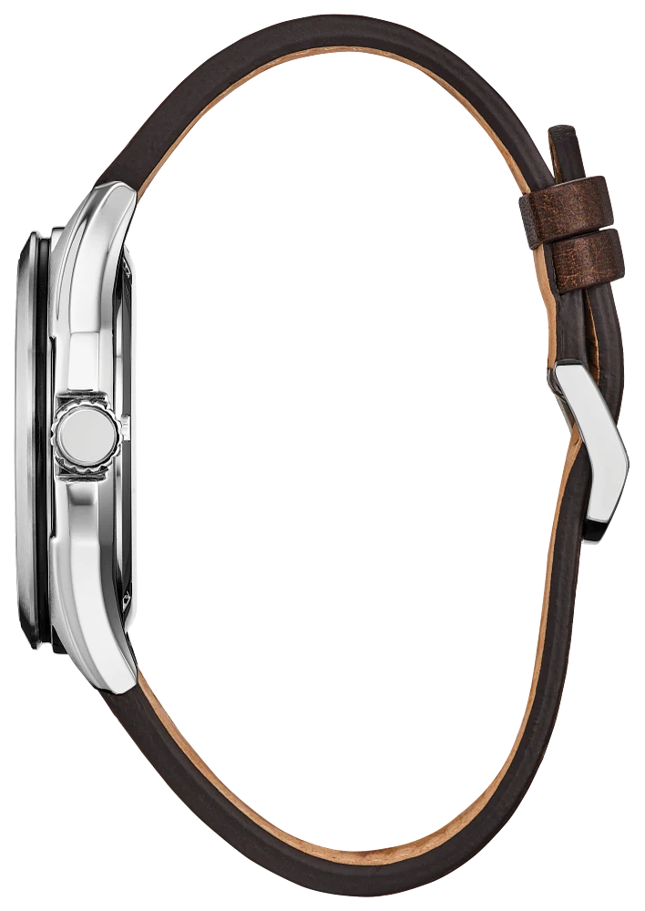 Citizen Terra Force AW1890-19B