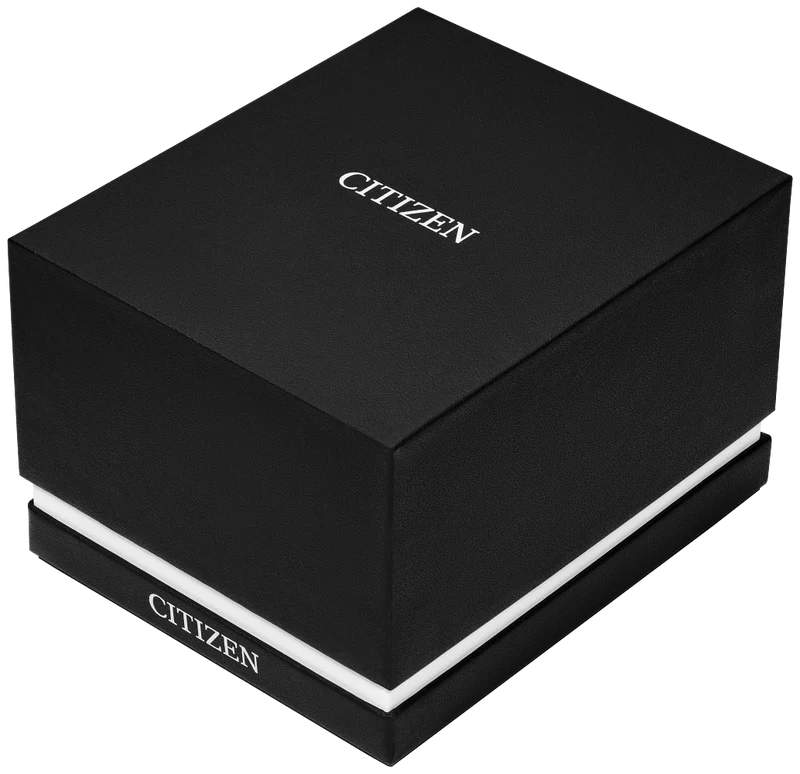 Citizen Terra Force AW1890-19B