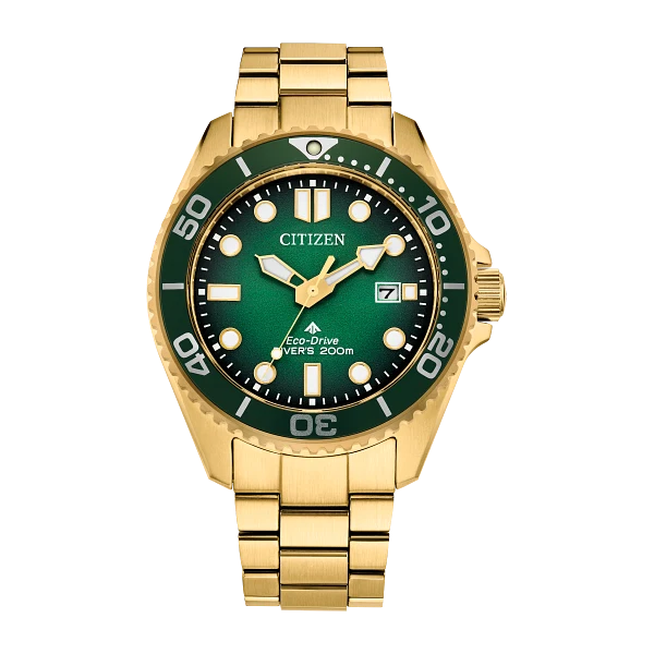 Citizen Promaster Eco-Drive Watch – BN0262-59W - Gradient Green Dial