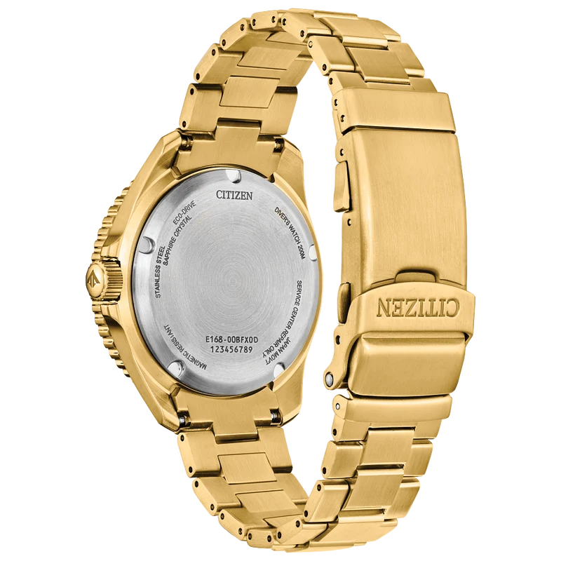 Citizen Promaster Eco-Drive Watch – BN0262-59W - Gradient Green Dial