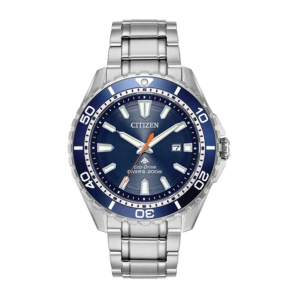 Citizen Promaster Eco-Drive Watch – BN0191-55L - Stainless Steel Case & Bracelet