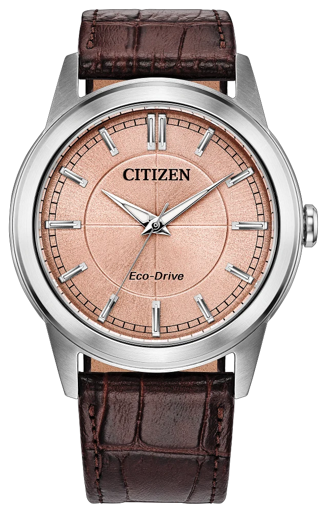 Citizen Rolan AW2110-14Z