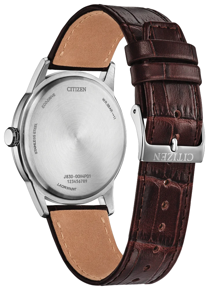 Citizen Rolan AW2110-14Z