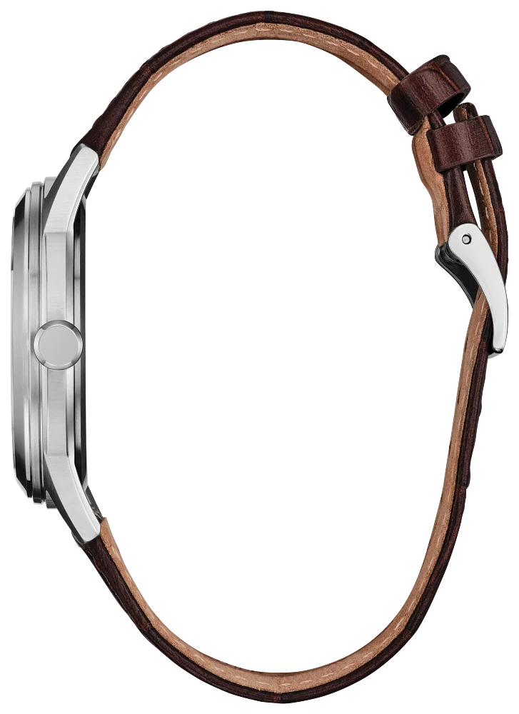 Citizen Rolan AW2110-14Z