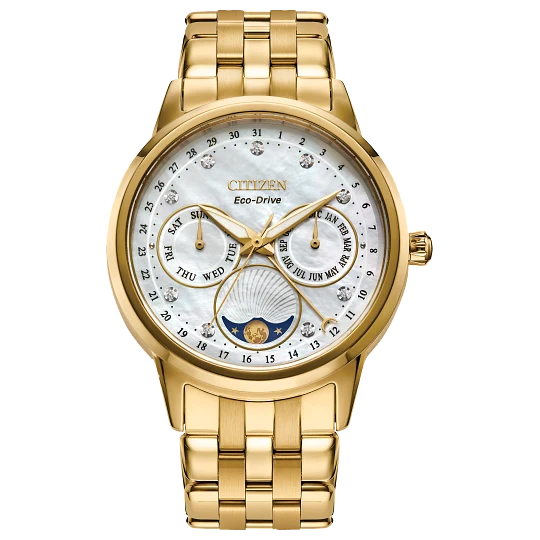 Citizen Eco Calendrier - FD0002-57D