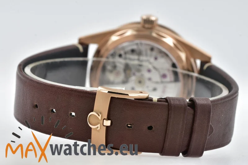 Omega Seamaster 300 Professional Chronometer Bronze Gold 23492412110001