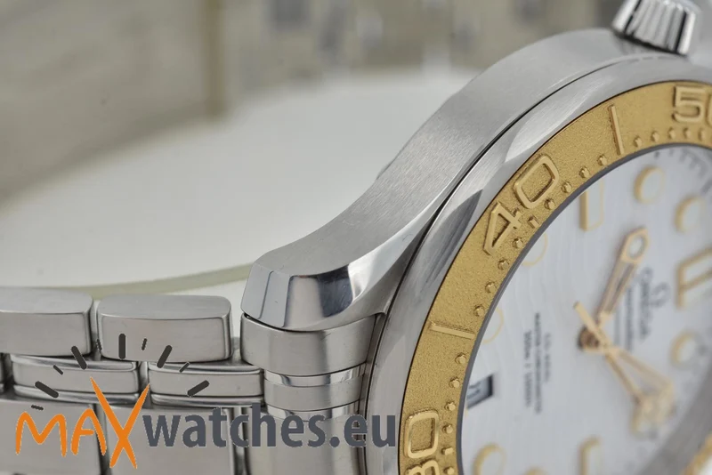 Omega Seamaster 300 Professional Chronometer Paris 2024 Steel Gold 52221422004001