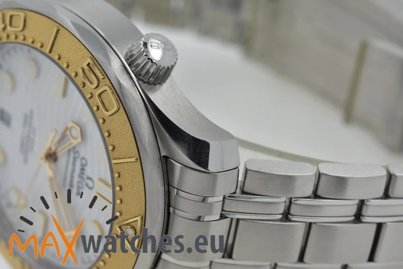 Omega Seamaster 300 Professional Chronometer Paris 2024 Steel Gold 52221422004001
