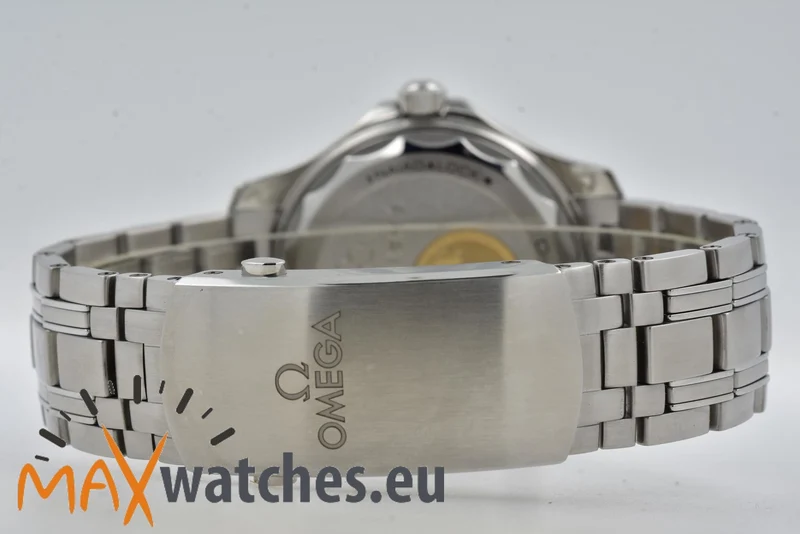 Omega Seamaster 300 Professional Chronometer Paris 2024 Steel Gold 52221422004001