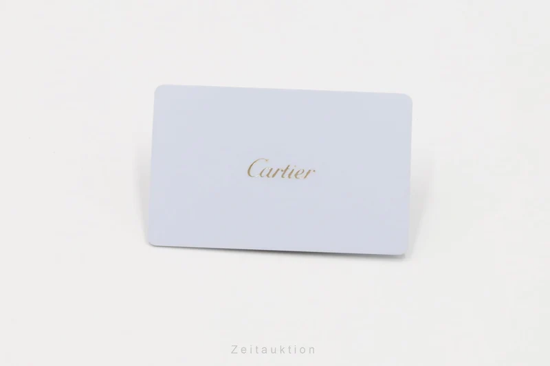 Cartier Santos steel automatic men's watch WSSA0029 LP: 8250EUR [2604948]