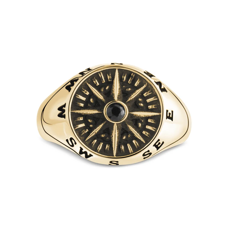 Schwarzer Stein Kompass Signet Ring