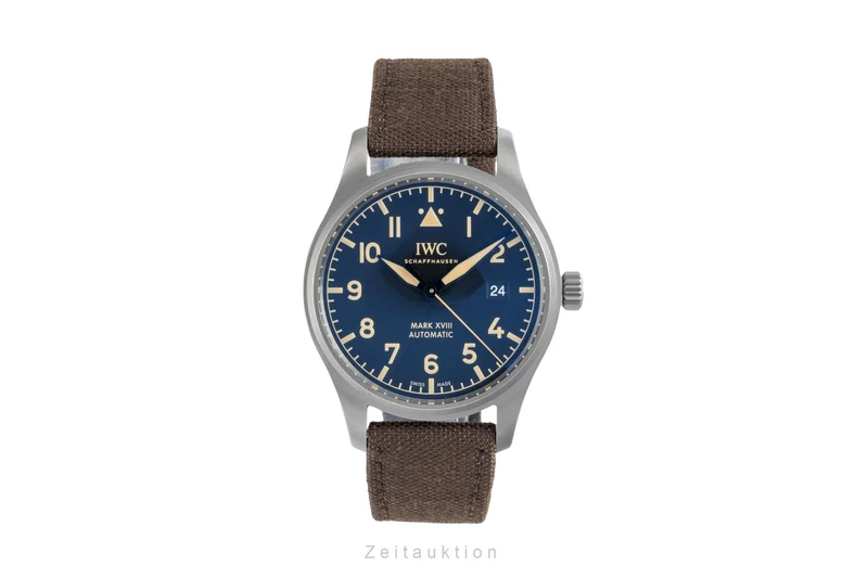 IWC Mark XVIII titanium automatic men's watch IW327006 [2604532]