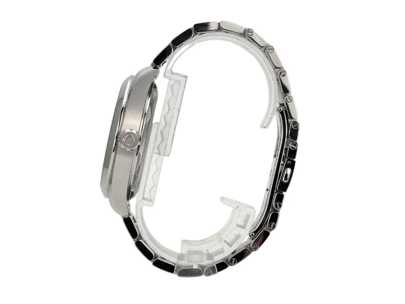 Omega Seamaster Aqua Terra Master Chronometer 220.10.41.21.03.001