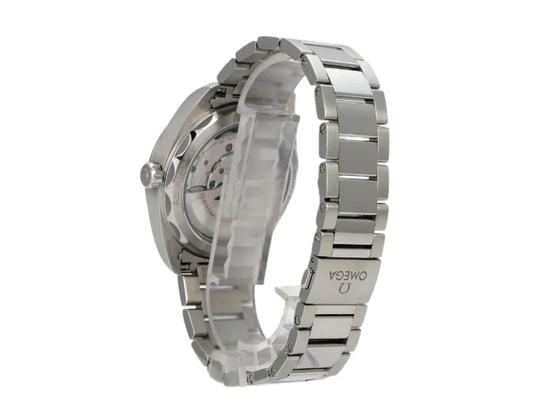 Omega Seamaster Aqua Terra Master Chronometer 220.10.41.21.03.001