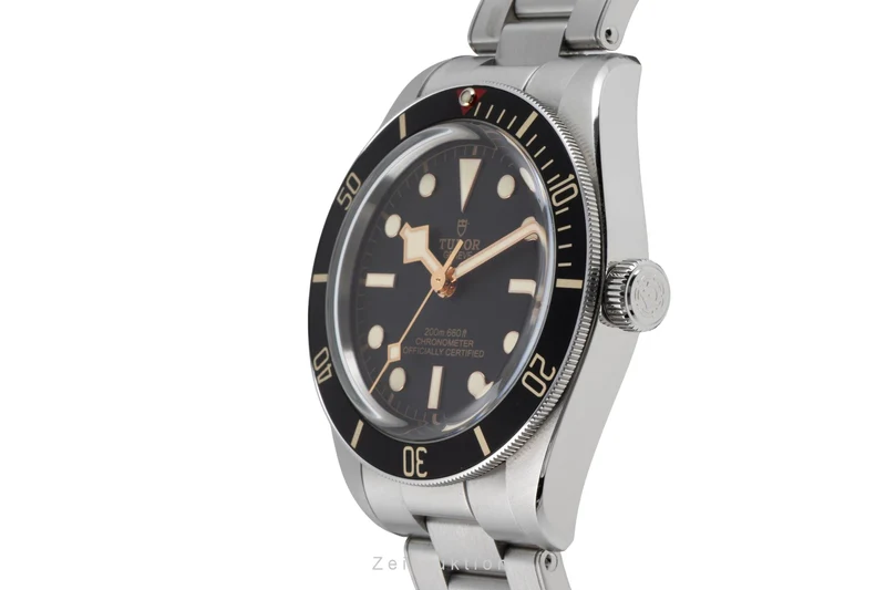 Tudor Black Bay steel automatic men's watch M79030N-0001 [2604370]
