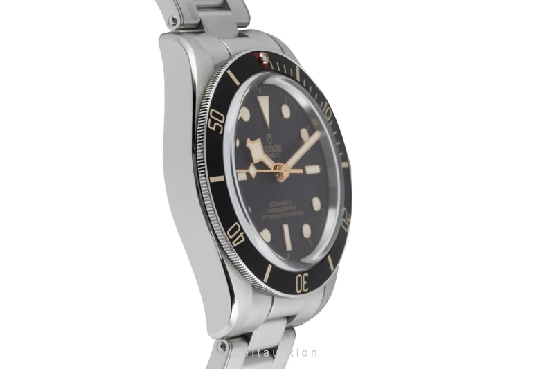 Tudor Black Bay steel automatic men's watch M79030N-0001 [2604370]
