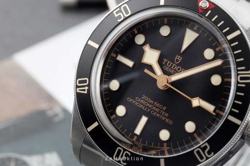 Tudor Black Bay steel automatic men's watch M79030N-0001 [2604370]