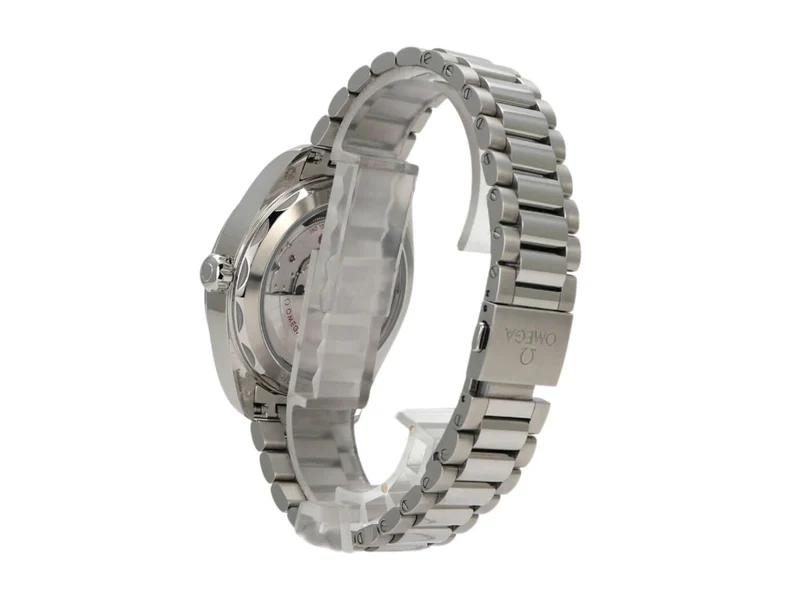 Omega Seamaster Aqua Terra Master Chronometer 220.10.41.21.03.006