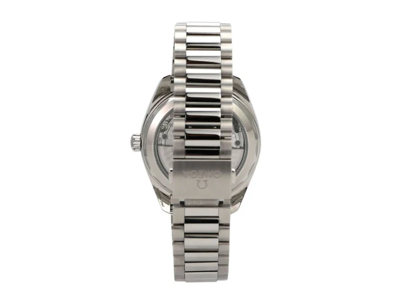 Omega Seamaster Aqua Terra Master Chronometer 220.10.41.21.03.006