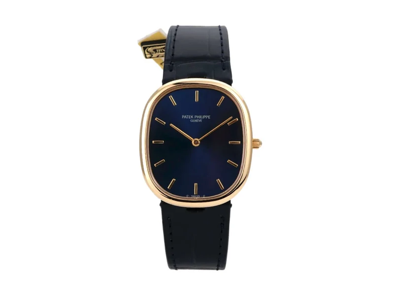 Patek Philippe Ellipse d’Or 3738/100J-001