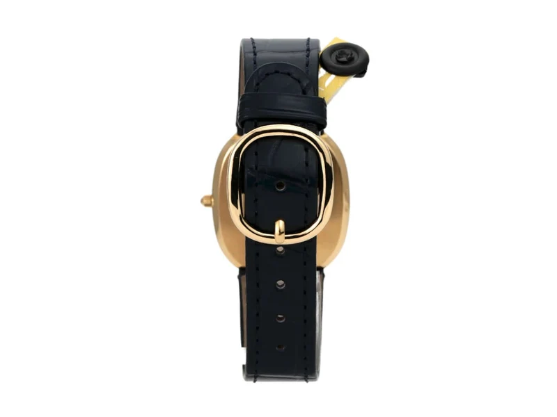 Patek Philippe Ellipse d’Or 3738/100J-001