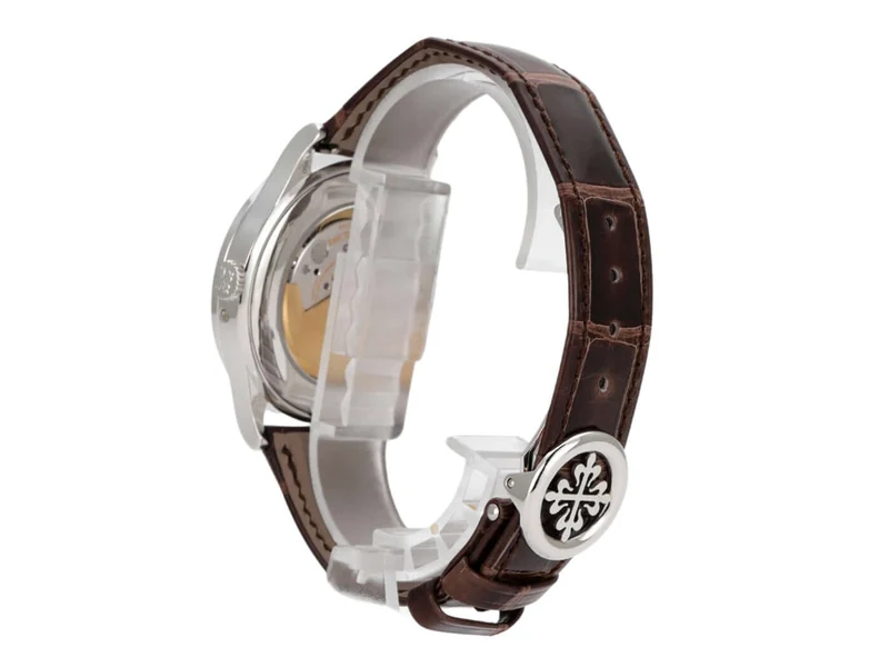 Patek Philippe Grand Complications Perpetual Calendar Platin 5496P-015
