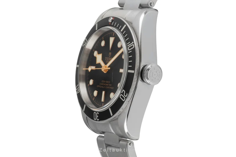 Tudor Black Bay steel automatic men's watch M79230N-0002 [2603823]