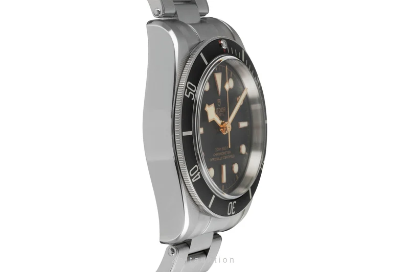 Tudor Black Bay steel automatic men's watch M79230N-0002 [2603823]