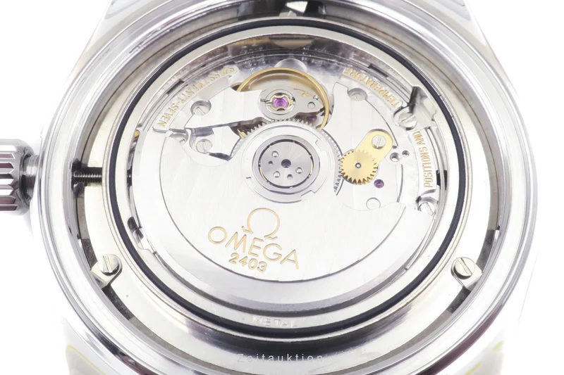 Omega Railmaster steel automatic men's watch 2502.52.00 LP: 6000EUR [2206340]