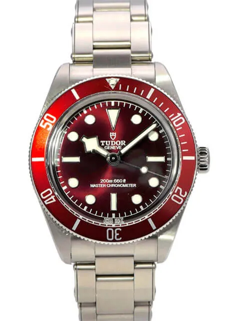Tudor Black Bay 58 M7939A1A0RU-0002