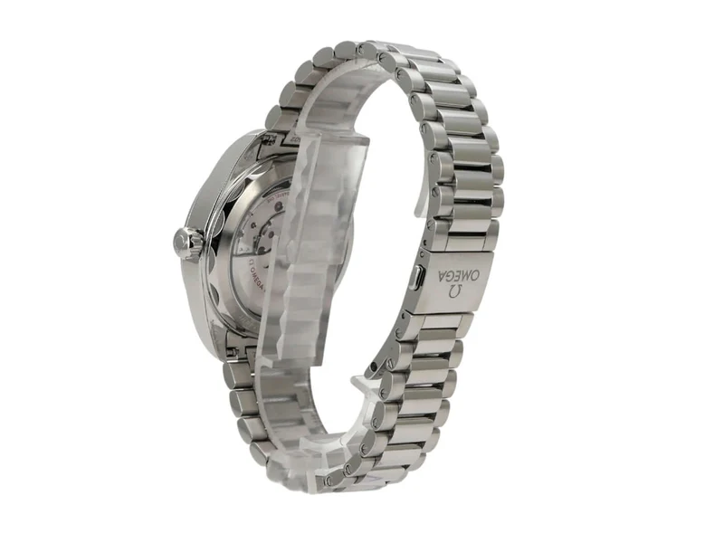 Omega Seamaster Aqua Terra Master Chronometer 220.10.41.21.01.002
