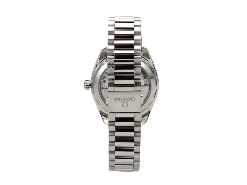 Omega Seamaster Aqua Terra Master Chronometer 220.10.41.21.01.002