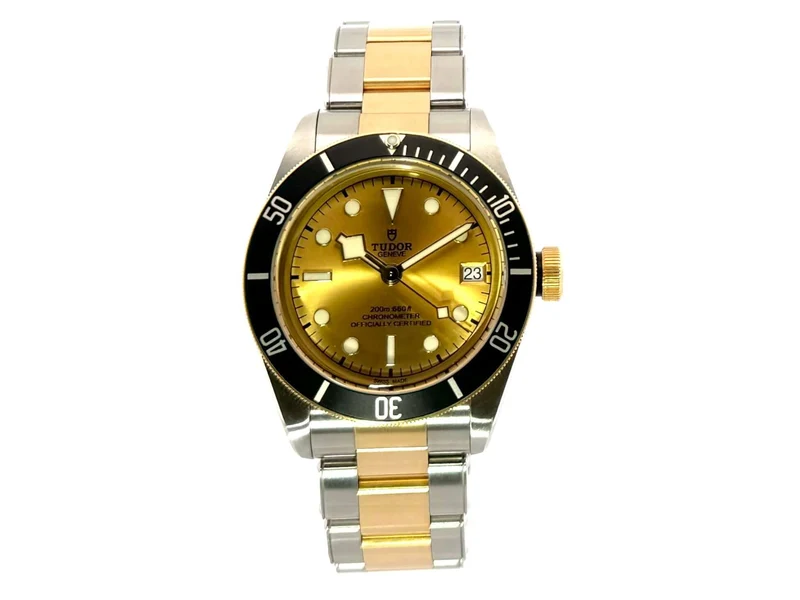 Tudor Black Bay Steel Gold 79733N