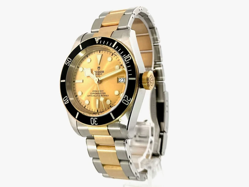 Tudor Black Bay Steel Gold 79733N