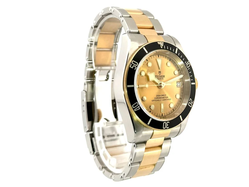 Tudor Black Bay Steel Gold 79733N