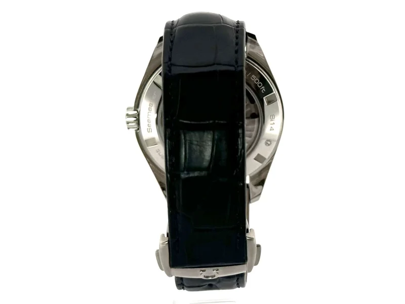 Omega Seamaster Aqua Terra GMT 231.13.43.22.03.001