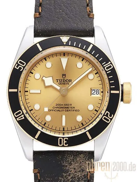 Tudor Heritage Black Bay Steel Gold 79733N-0003 Lederband