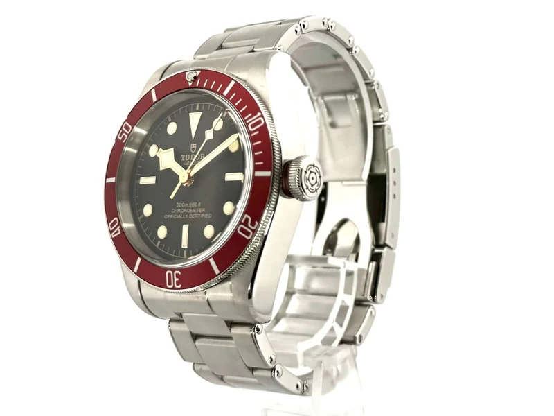 Tudor Black Bay 79230R