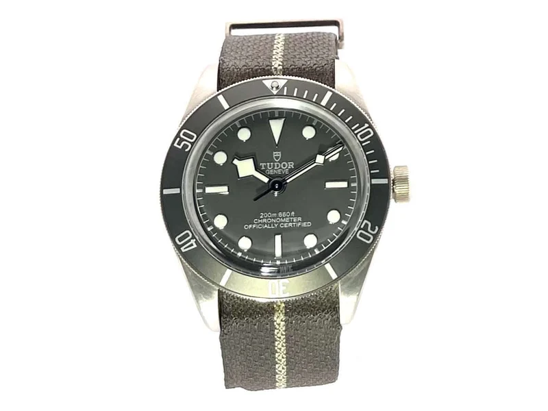 Tudor Black Bay Fifty-Eight 925 79010SG-0002