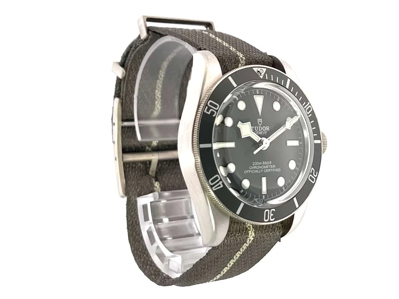 Tudor Black Bay Fifty-Eight 925 79010SG-0002