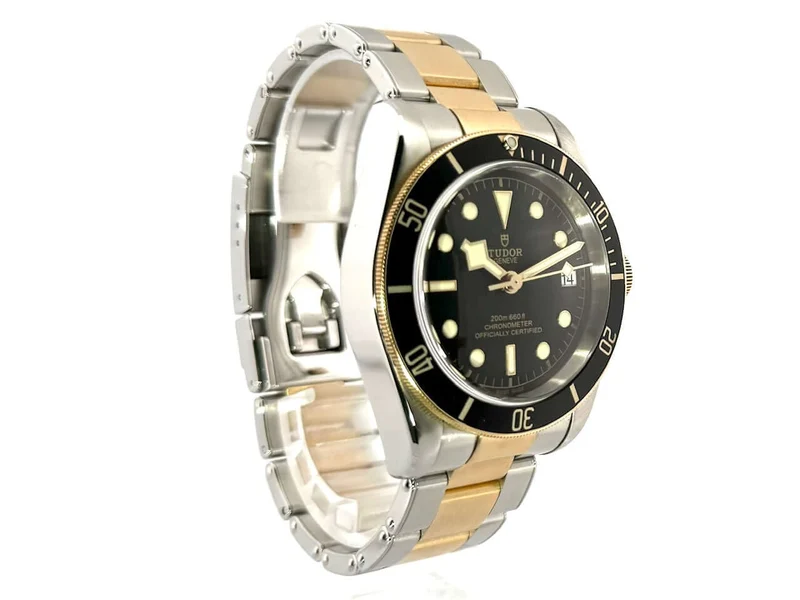 Tudor Black Bay Steel Gold 79733N-0002