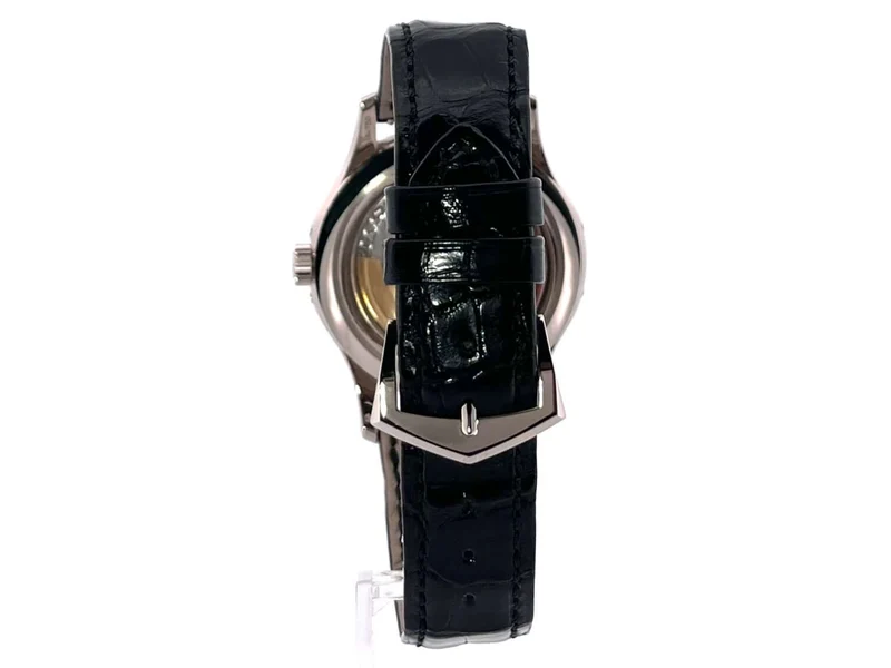 Patek Philippe Complications Annual Calendar Mondphase 5205G-013