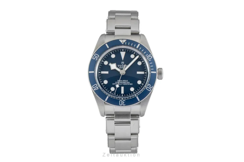 Tudor Black Bay steel automatic men's watch 79030B [2603122]