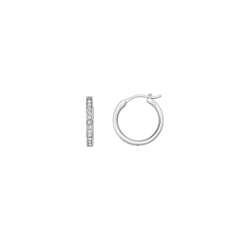 Fossil JOF00337040