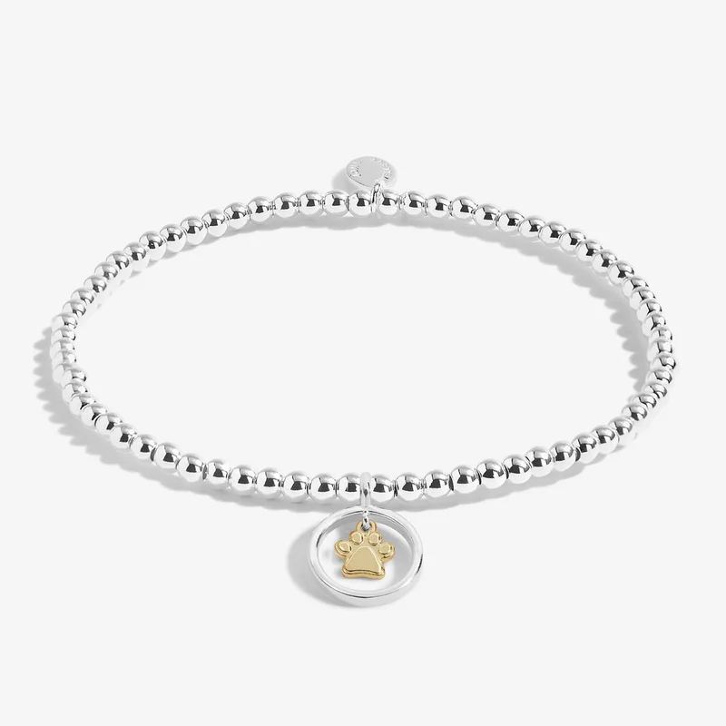 Joma Jewellery Pets JJ6845