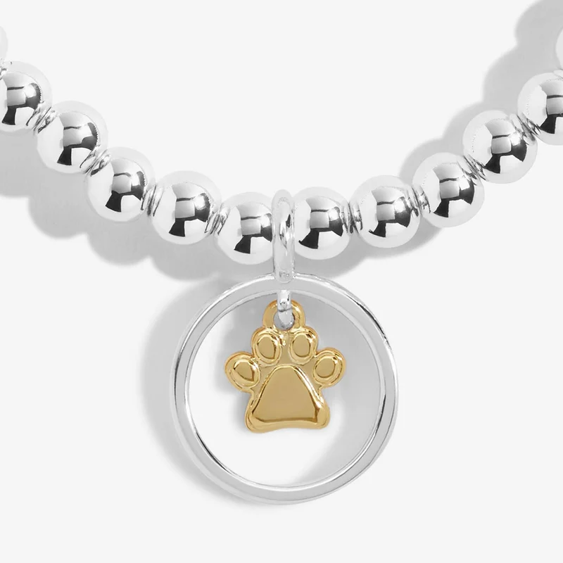 Joma Jewellery Pets JJ6845