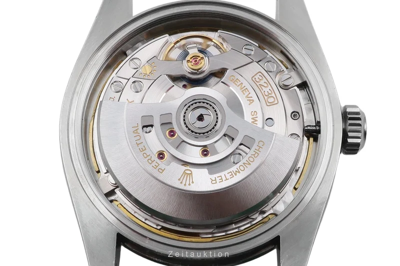 Rolex Explorer steel automatic men's watch 224270 [2601744]