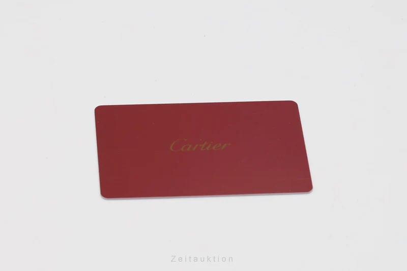 Cartier Santos 100 steel / titanium automatic men's watch W2020010 [2601649]