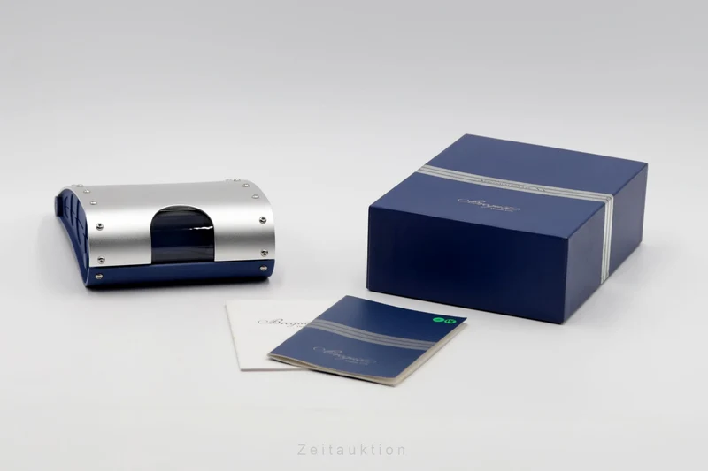 Breguet Type XX chronograph steel automatic men's watch 3800 [2504191]